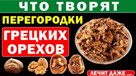 Использование перегородок грецких орехов