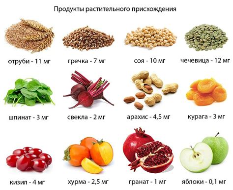 Использование сезонных продуктов для повышения питательности питания
