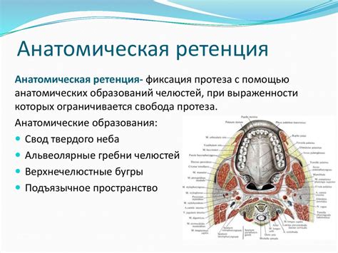 Использование специальных средств для фиксации