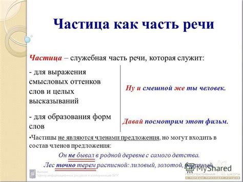 Исследование контекста и смысловых оттенков слов, образованных с приставкой "нес-"