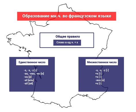 Исследование личности на французском