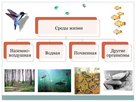 Исследование места обитания