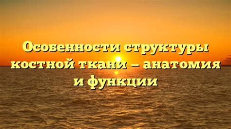 Исследуйте основные характеристики ткани