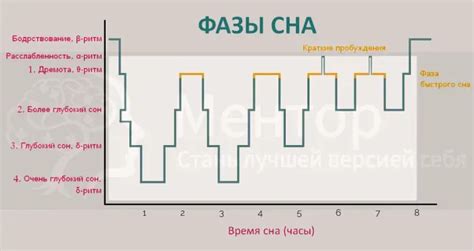 Исследуйте собственные ритмы сна