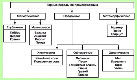 Исторические аспекты разведения породы