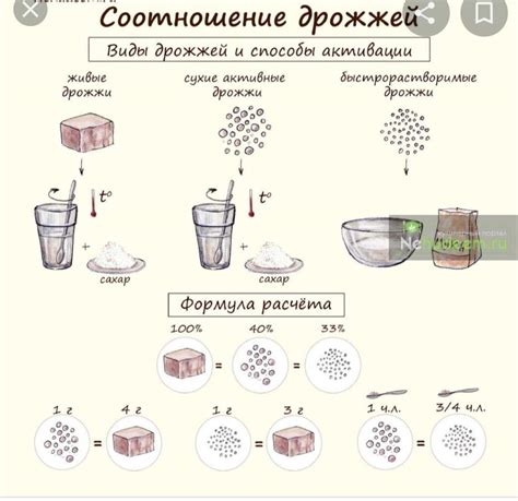 Исторические сведения о приготовлении дрожжей из сухих продуктов в жидкости