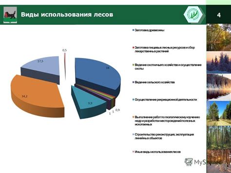 История использования лесов в России