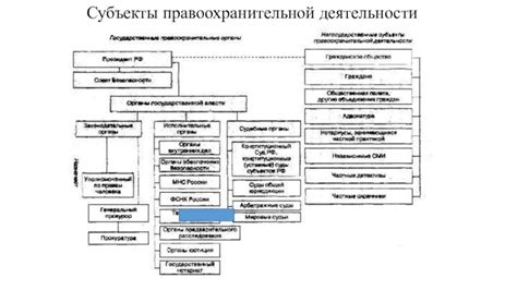 История правоохранительной деятельности