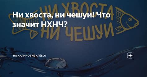 История происхождения фразы "ни хвоста ни чешуи"