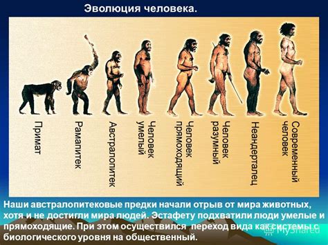 История происхождения человека