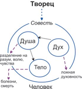 История традиции в антропологии