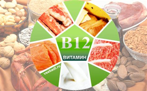 Источники витамина В12