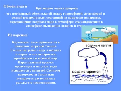 Источники влаги в атмосфере: ответы