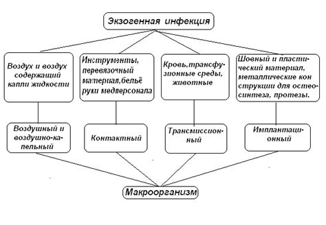 Источники инфекции в организме