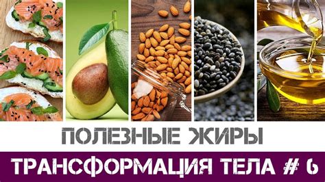 Источники полезных жиров