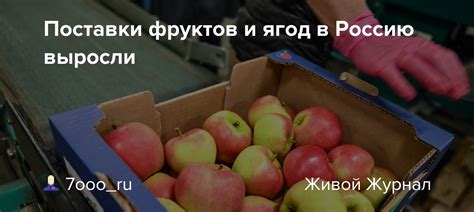 Источники поставки фруктов и овощей в Россию