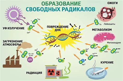 Источники свободных радикалов