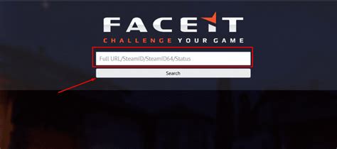 Итоговые рекомендации по поиску игроков на Faceit по SteamID