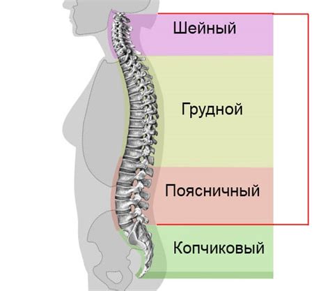 Каковы причины колик по спине