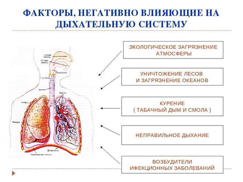 Какое влияние оказывает задерживание дыхания на организм