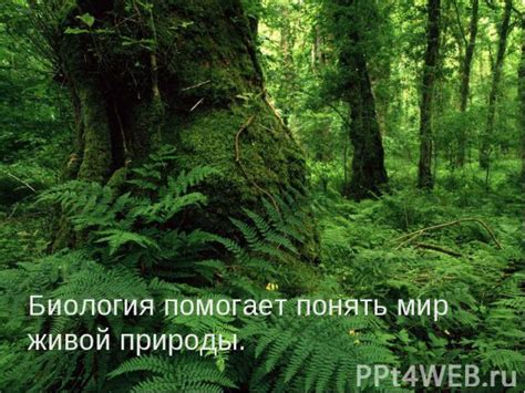 Как биология помогает в понимании природы