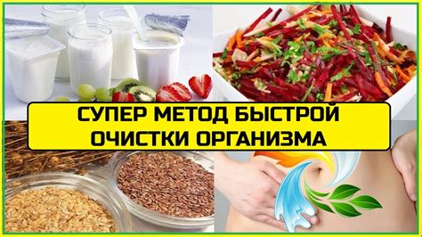 Как быстро очистить организм от токсинов и вернуться в норму