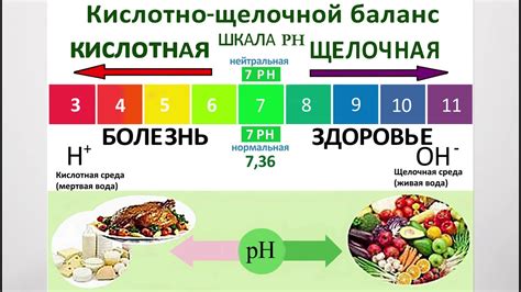 Как важен кислотно-щелочной баланс организма