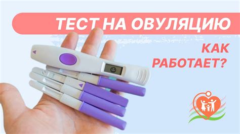 Как влияет питание на овуляцию