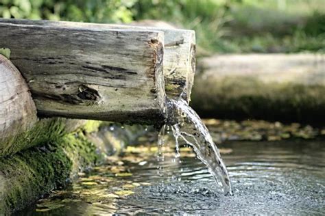 Как выбрать источник воды для туев