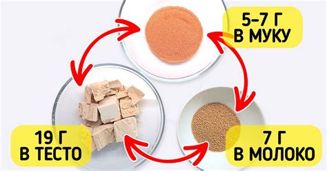 Как заменить сухие дрожжи на живые
