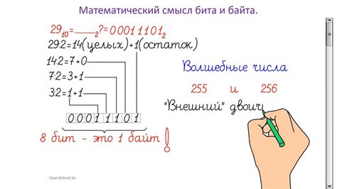 Как измерить объем информации в битах и байтах