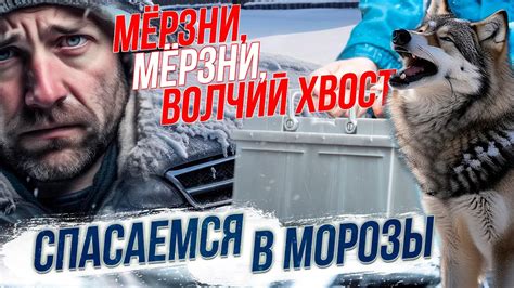 Как мороз влияет на оборудование