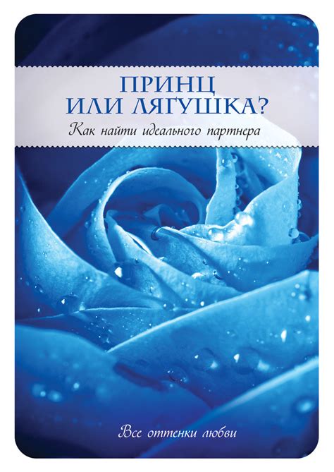 Как найти идеального партнера: основные критерии