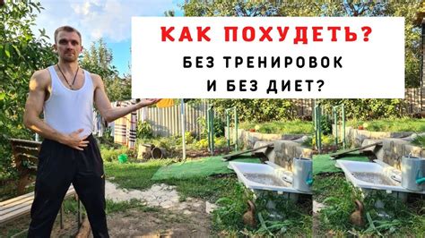 Как не запутаться в мире диет и тренировок