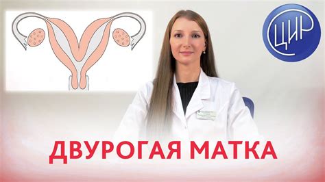 Как определить наличие двурогой матки