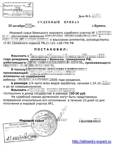 Как подать возражение на судебный приказ: подробная инструкция