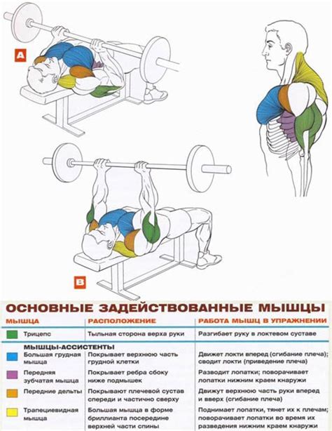 Как правильно выполнять жим штанги лежа узким хватом