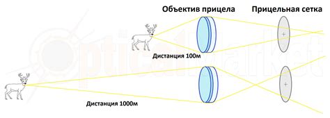 Как правильно настроить параллакс на оптическом прицеле