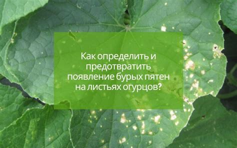 Как предотвратить появление дырочек