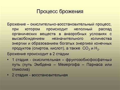 Как происходит процесс брожения