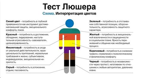 Как распознать ориентацию человека: ключевые индикаторы и советы