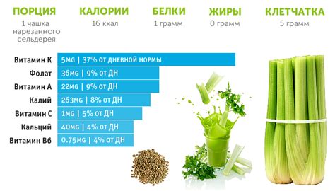 Как сделать выбор: экспертные рекомендации о сочетании сельдерея и грибов