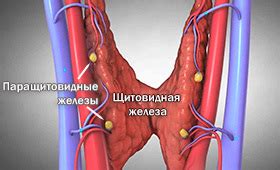 Как сода влияет на желудочно-кишечный тракт