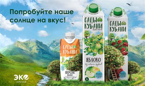 Как сохранить свежесть и ценность соков из незрелой плодовой культуры и оценить их долговечность