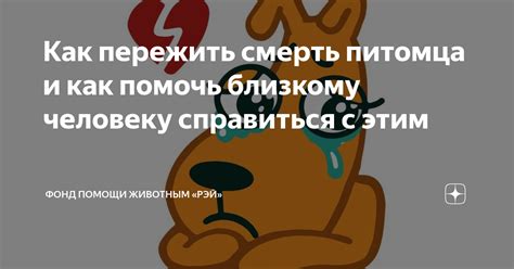 Как справиться со стойким приставанием питомца к человеку