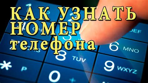 Как узнать телефон