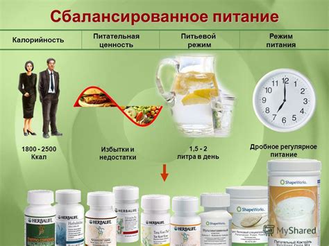 Калорийность и питательная ценность мантов