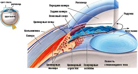 Камера и функции