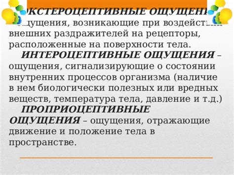 Кинестетическая информация: восприятие через движение и ощущения тела