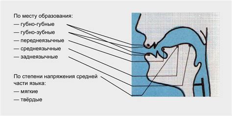 Классификация звуков по основным признакам